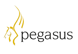 pegasus-png.png